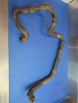 Water Pump Radiator Coolant Hose Line Pipe Oem Mini Cooper R60 R61. Fixed Price $69.99.