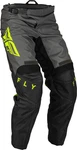Fly Racing 2022 F-16 Pants. Fixed Price $74.98.