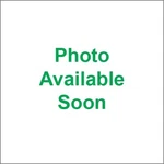 Icon 0133-1466 Domain Helmet Accessory Covers Gold. Fixed Price $18.60.