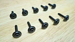 10 Black Lower Door Panel Screws! Fits Classic Vehicles - Car Pickup Wagon Etc. Fixed Price $29.50.