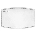 Zan Replacement PM2.5 Filter 5-PACK. Fixed Price $9.98.
