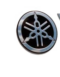 Yamaha 3D Emblem F250XCA Outboard 4.2L Metal Tuning Fork Logo 6AW-42697-10-00. Fixed Price $62.95.