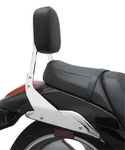 Cobra Square Sissy Bars 17" Standard 02-5250. Fixed Price $409.40.