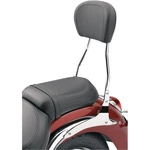 Cobra Sissy Bar Tall Raider 02-7765. Fixed Price $416.31.