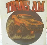 1974 Firebird Pontiac Am Roach Vintage Iron Transfer Shirt. Fixed Price $45.00.