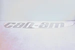 Aftermarket 704906332 Can-am Right Door Decal Nos. Fixed Price $19.98.