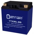 Mighty Max YTX30L-BS Lithium Replacement Battery Compatible With Deka ETX30L. Fixed Price $139.99.
