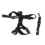Genuine Lamborghini Xl Dog Safety Belt Harness Certified 80LBS 4ML019409C. Fixed Price $197.13.