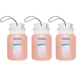 Yankee Candle Paper Car Jar, Pink Sands (pack Of 3) Count 1),. Fixed Price $21.24.